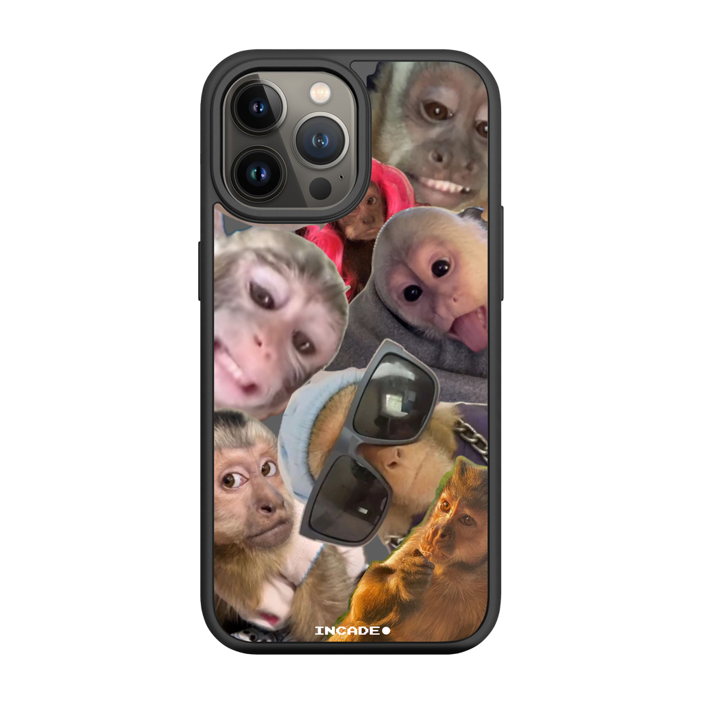 iPhone 13 Pro BIBIZYANA