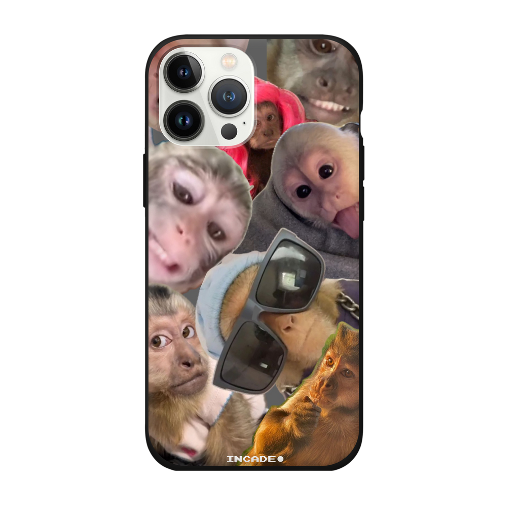 iPhone 13 Pro BIBIZYANA