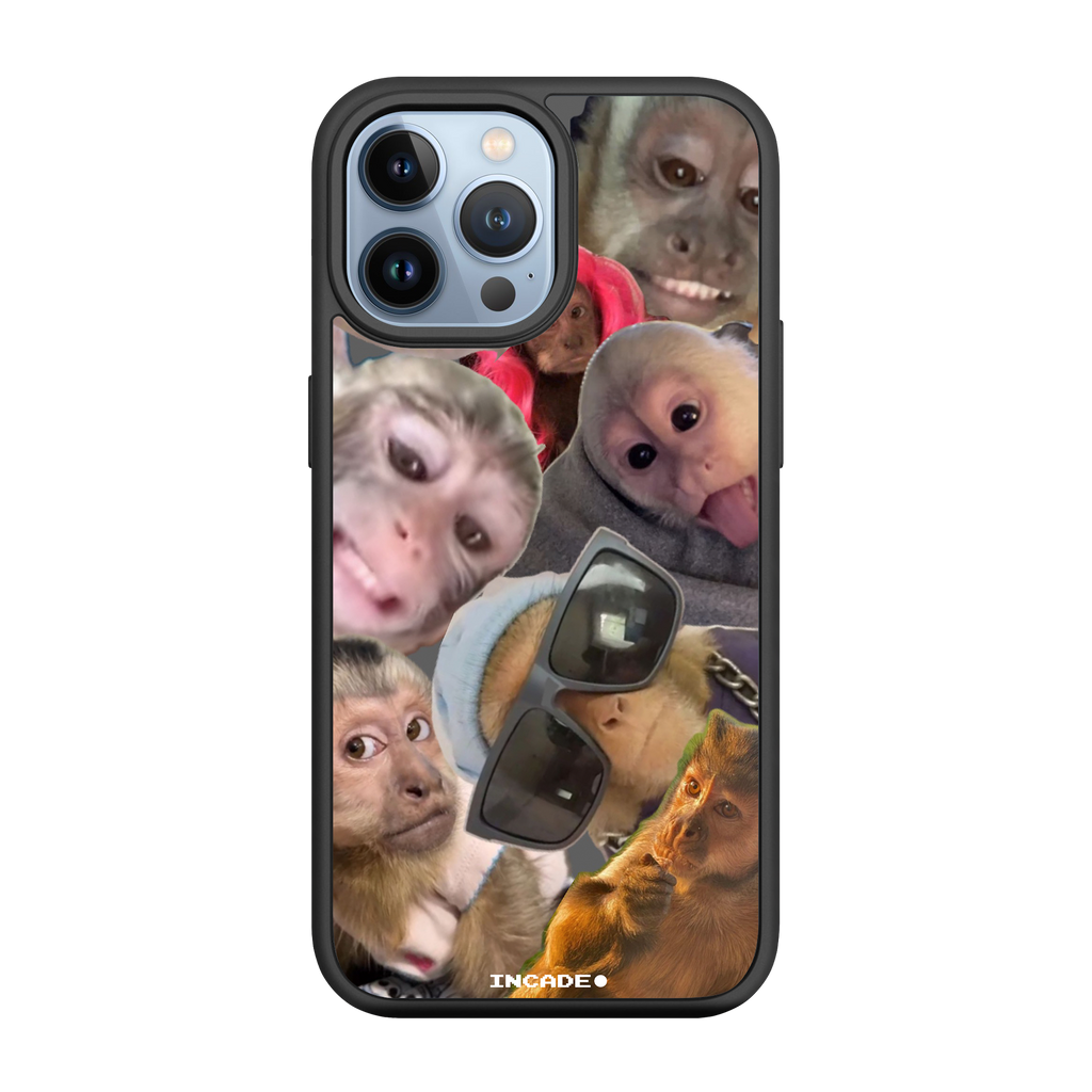 iPhone 13 Pro BIBIZYANA
