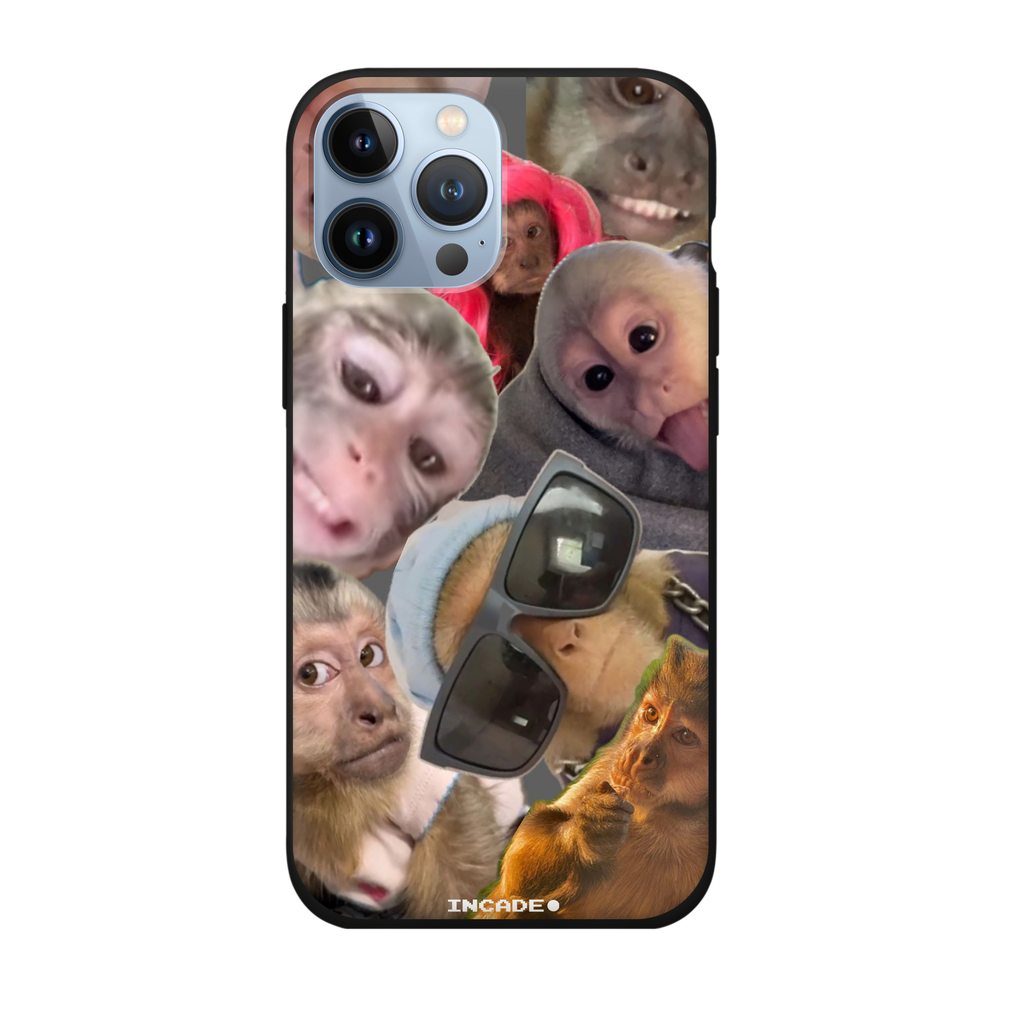 iPhone 13 Pro BIBIZYANA