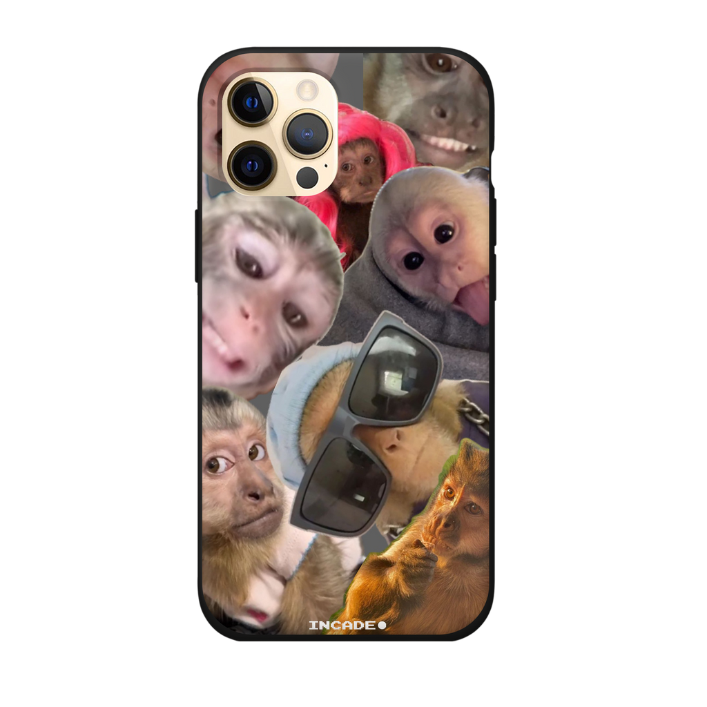 iPhone 12 Pro BIBIZYANA