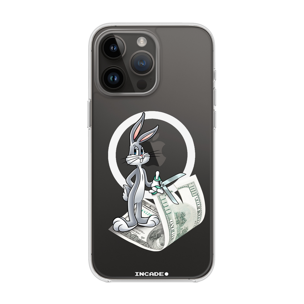 iPhone 14 Pro money masters Bugs