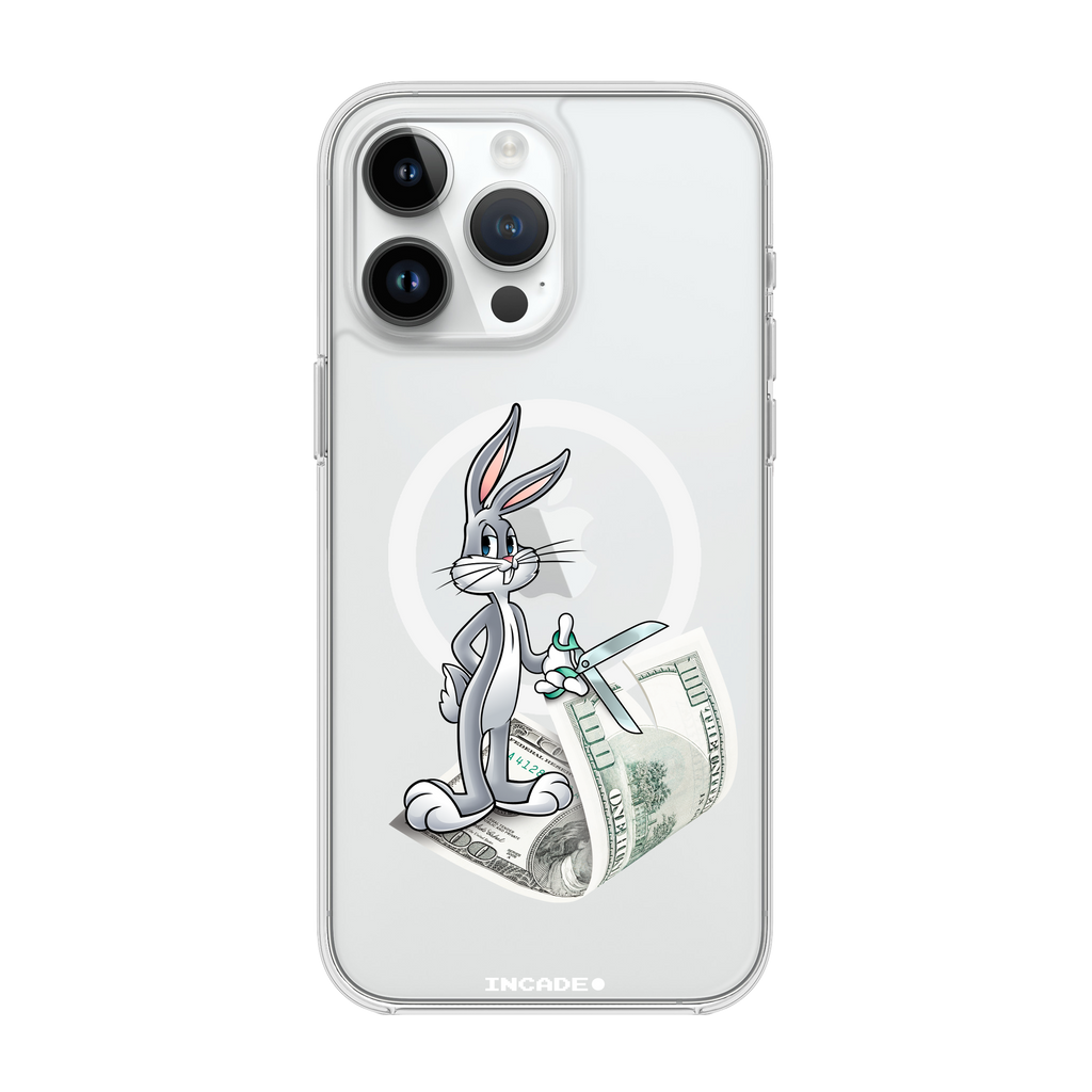 iPhone 14 Pro money masters Bugs