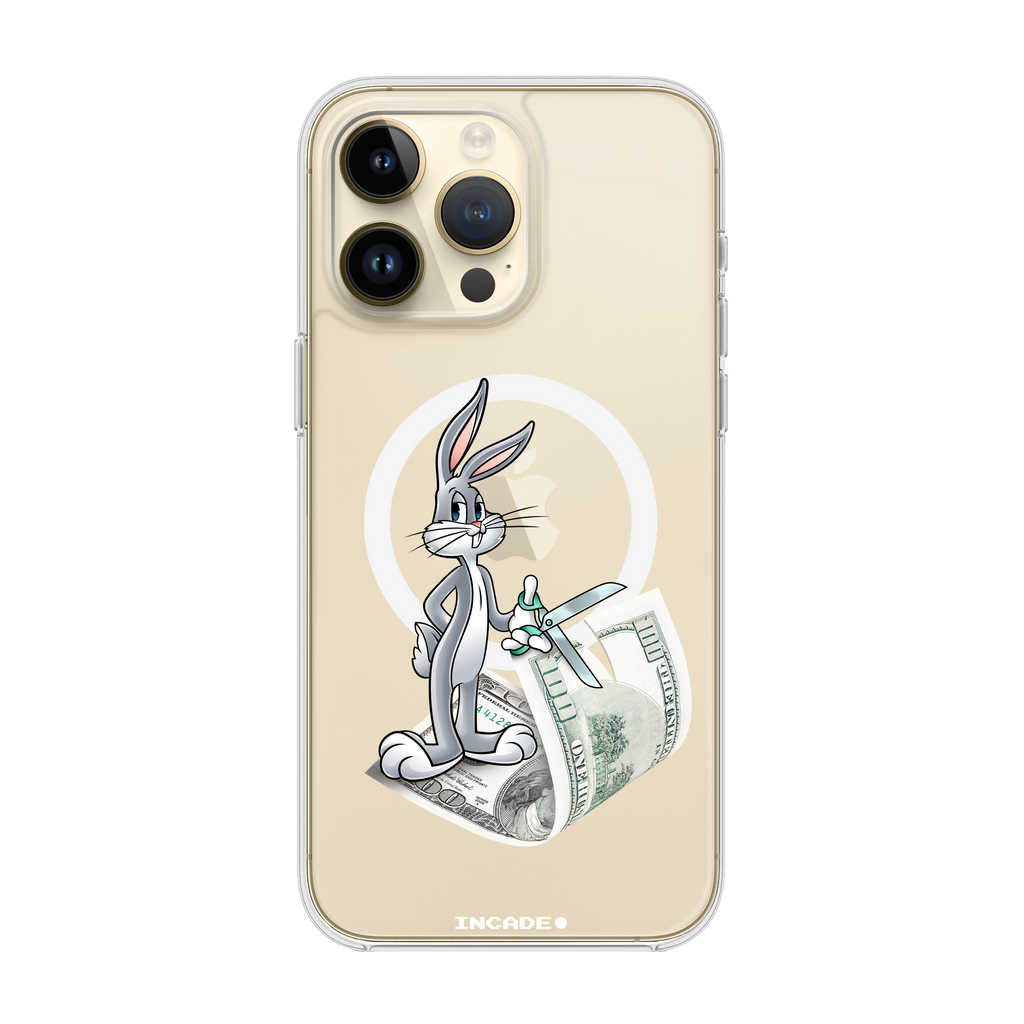 iPhone 14 Pro money masters Bugs