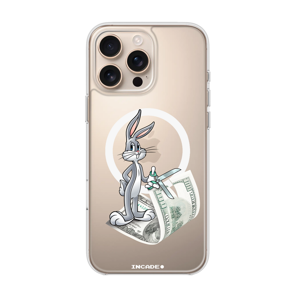 iPhone 16 Pro Max money masters Bugs