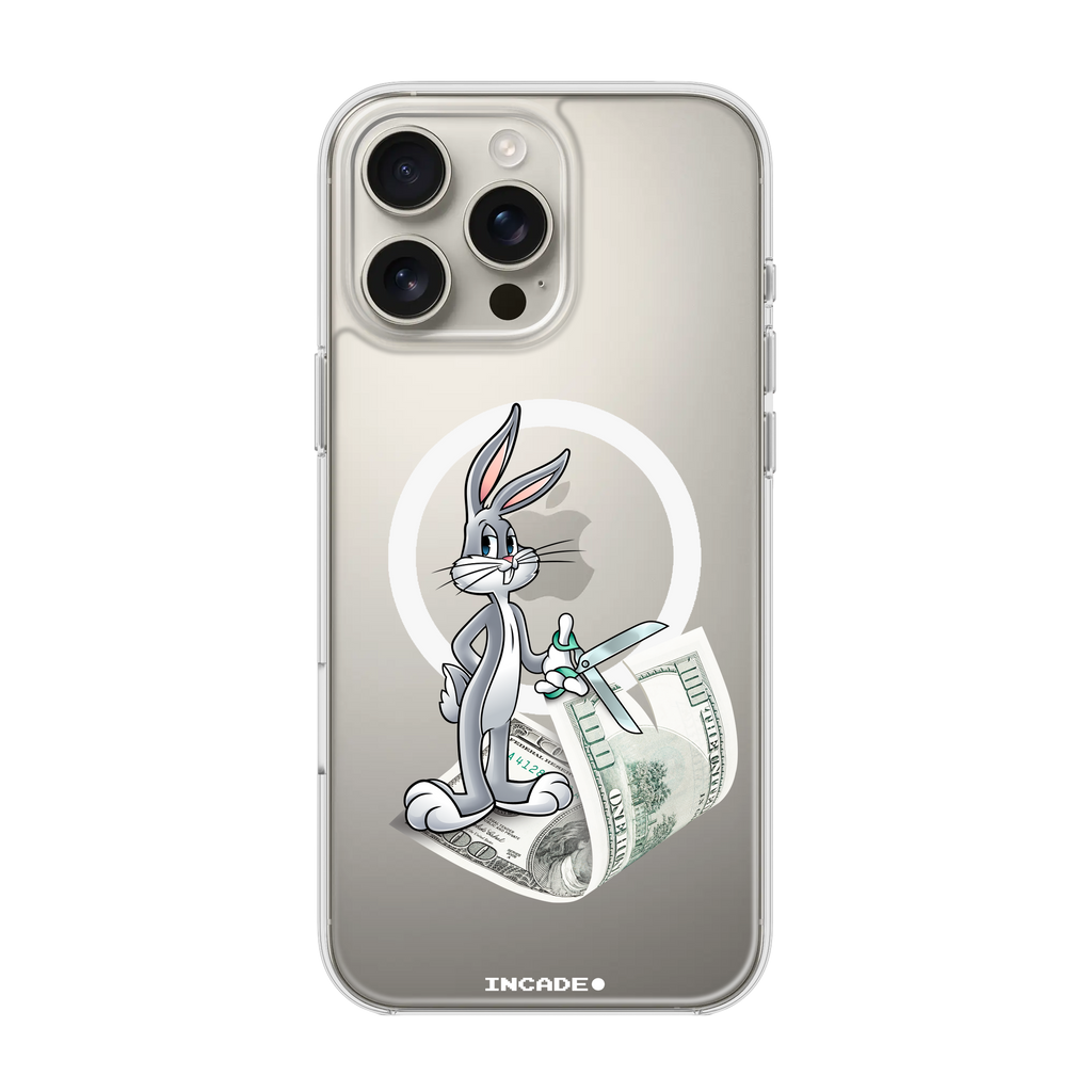 iPhone 16 Pro Max money masters Bugs