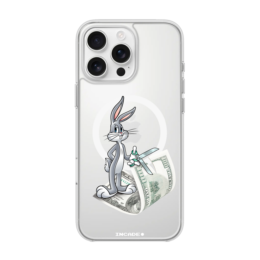 iPhone 16 Pro Max money masters Bugs