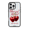 iPhone 16 Pro Max BOMB2