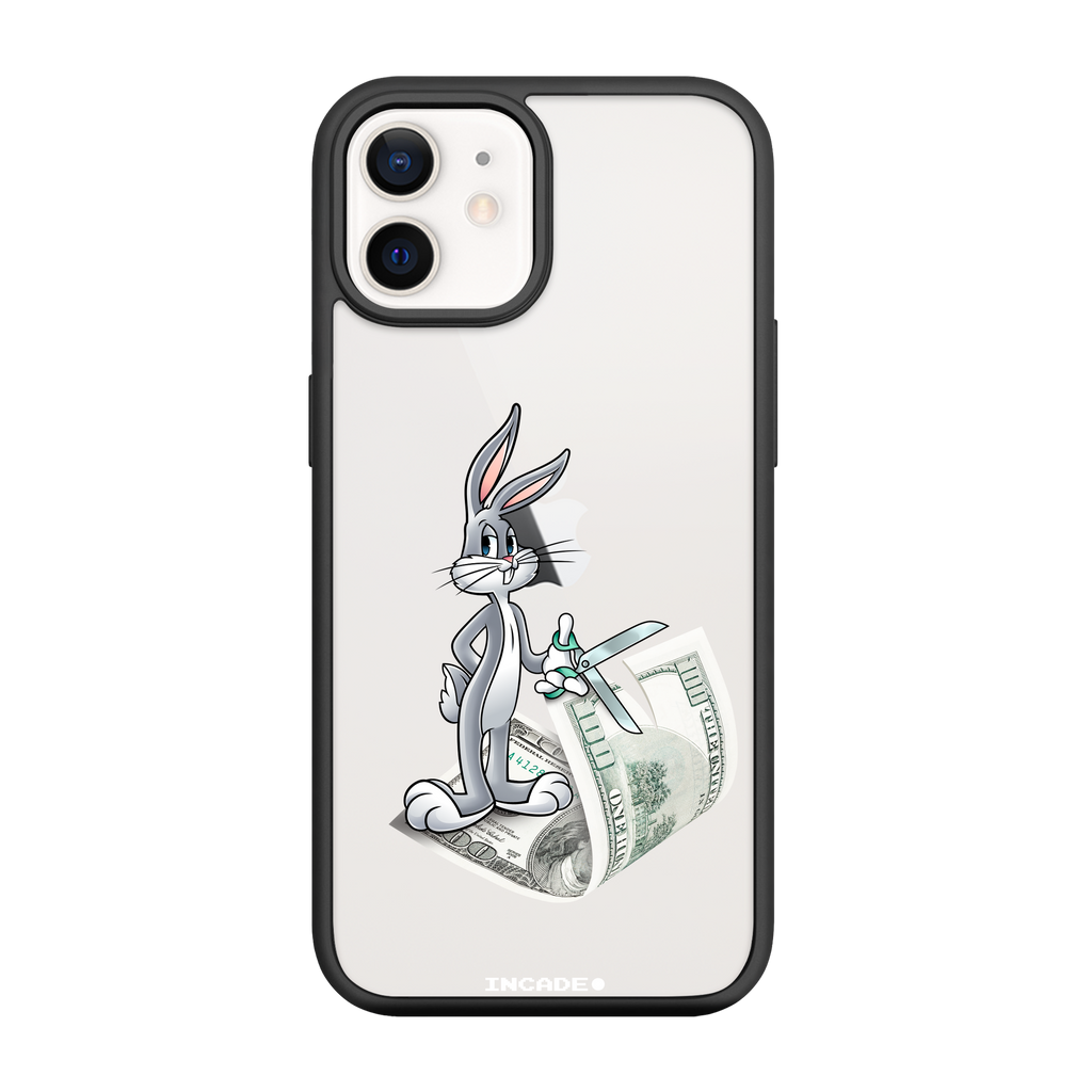 iPhone 12 mini money masters Bugs