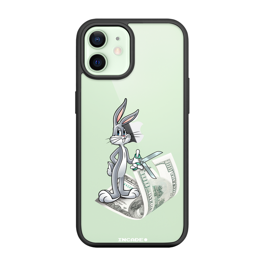 iPhone 12 mini money masters Bugs