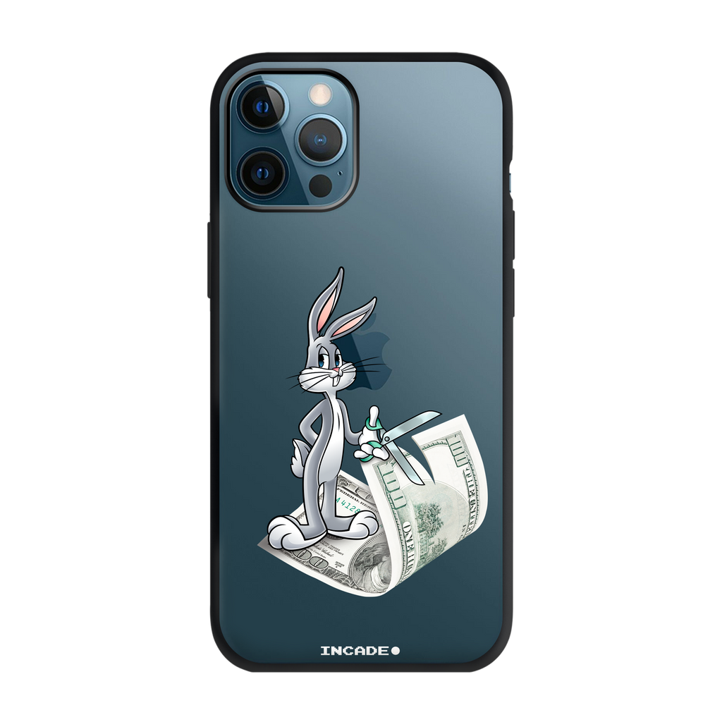 iPhone 12 Pro money masters Bugs