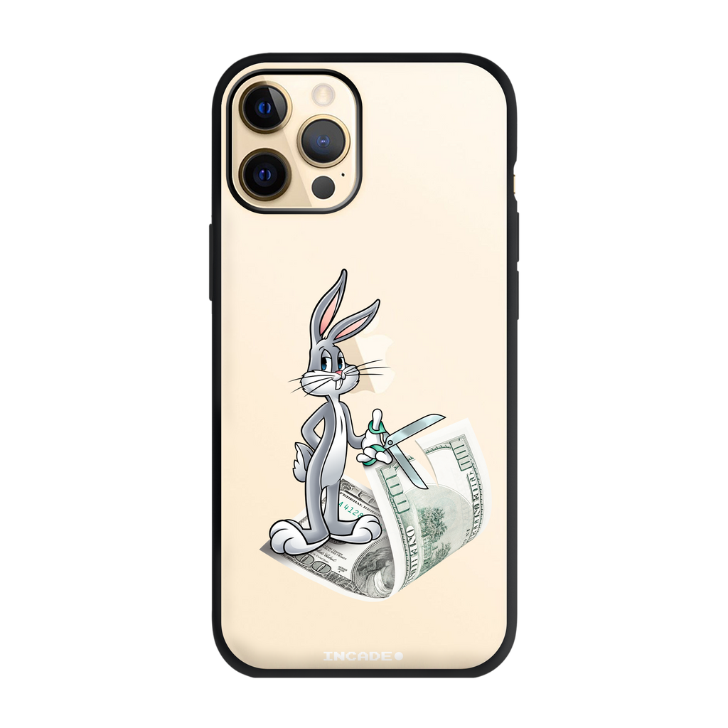 iPhone 12 Pro money masters Bugs