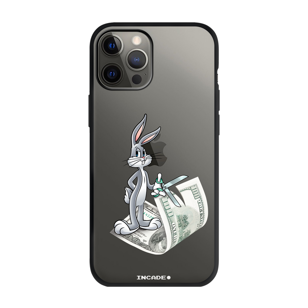 iPhone 12 Pro money masters Bugs