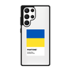 Чохол для Galaxy S22 Ultra з принтом freedom flag