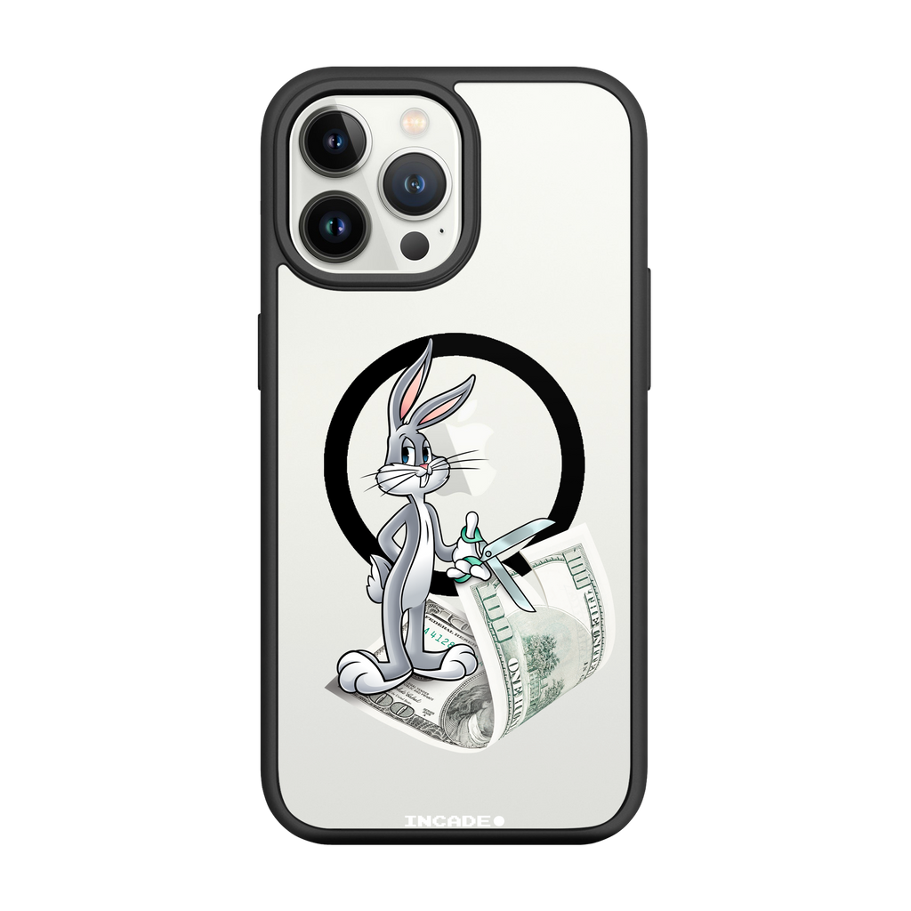 iPhone 13 Pro money masters Bugs