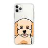 Чохол для iPhone 11 Pro Max з принтом MALTIPOO