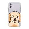 Чохол для iPhone 11 з принтом MALTIPOO