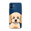Чохол для iPhone 12 mini з принтом MALTIPOO