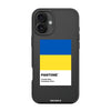 Чохол для iPhone 16 Plus з принтом freedom flag