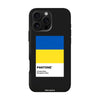 Чохол для iPhone 16 Pro з принтом freedom flag