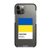 Чохол для iPhone 12 Pro з принтом freedom flag