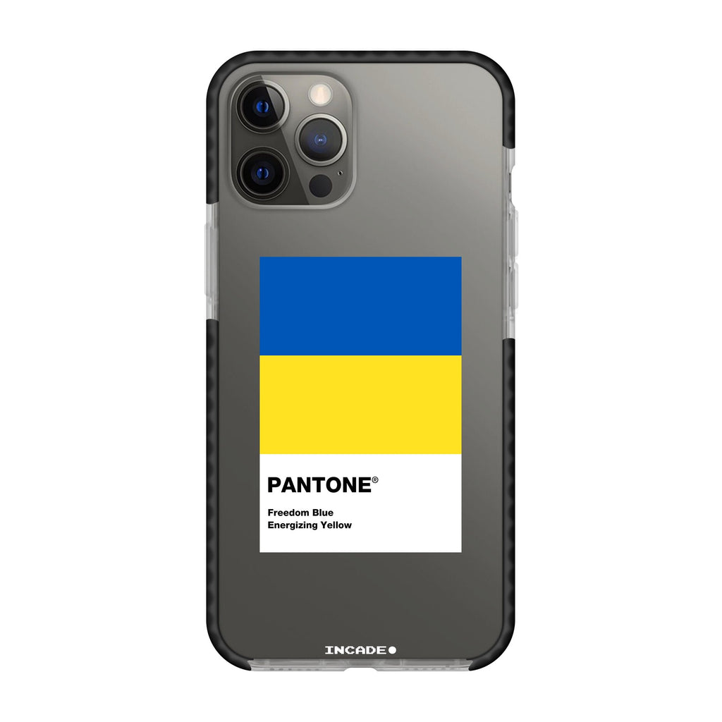 Чохол для iPhone 12 Pro з принтом freedom flag