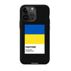 Чохол для iPhone 14 Pro Max з принтом freedom flag