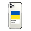 Чохол для iPhone 11 Pro Max з принтом freedom flag