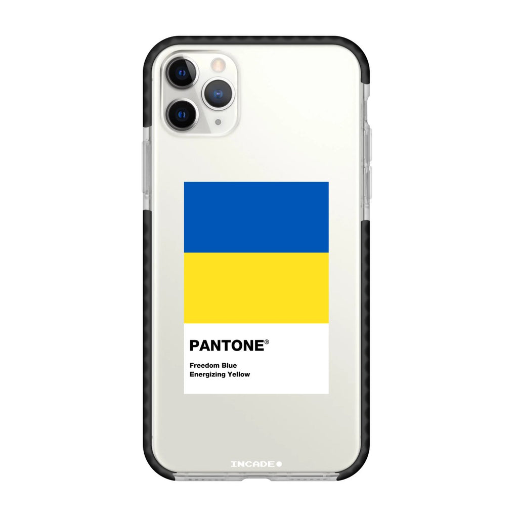 Чохол для iPhone 11 Pro Max з принтом freedom flag