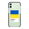 Чохол для iPhone 12 з принтом freedom flag